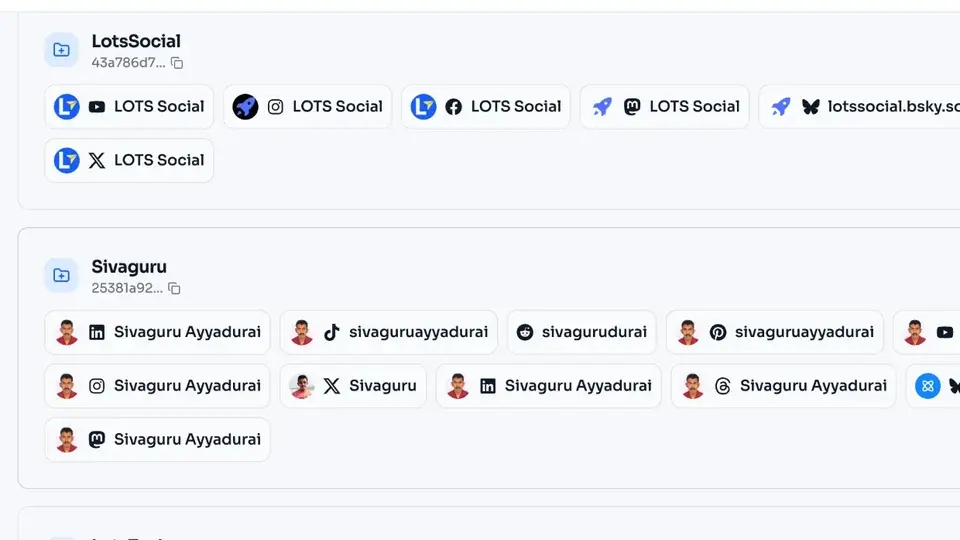 The LotsSocial Accounts and brands page with accounts grouped by brand